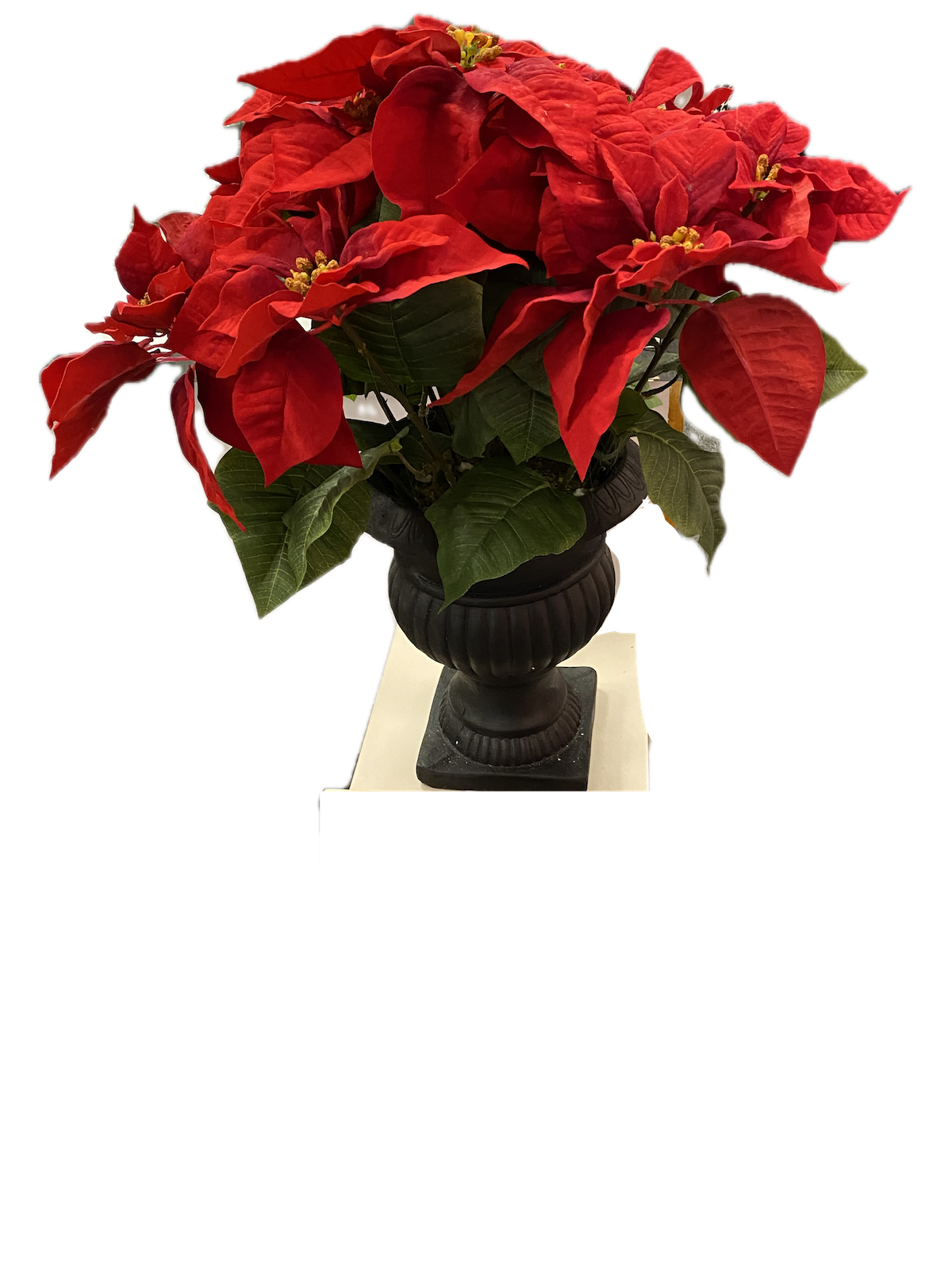 Ashland Silk Poinsettia in Black Vase, 24"x18"