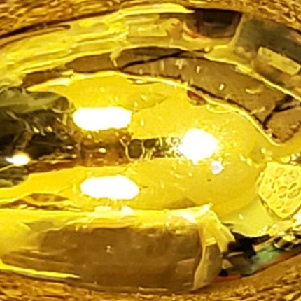 Ashland Glass Christmas Ornament Decor