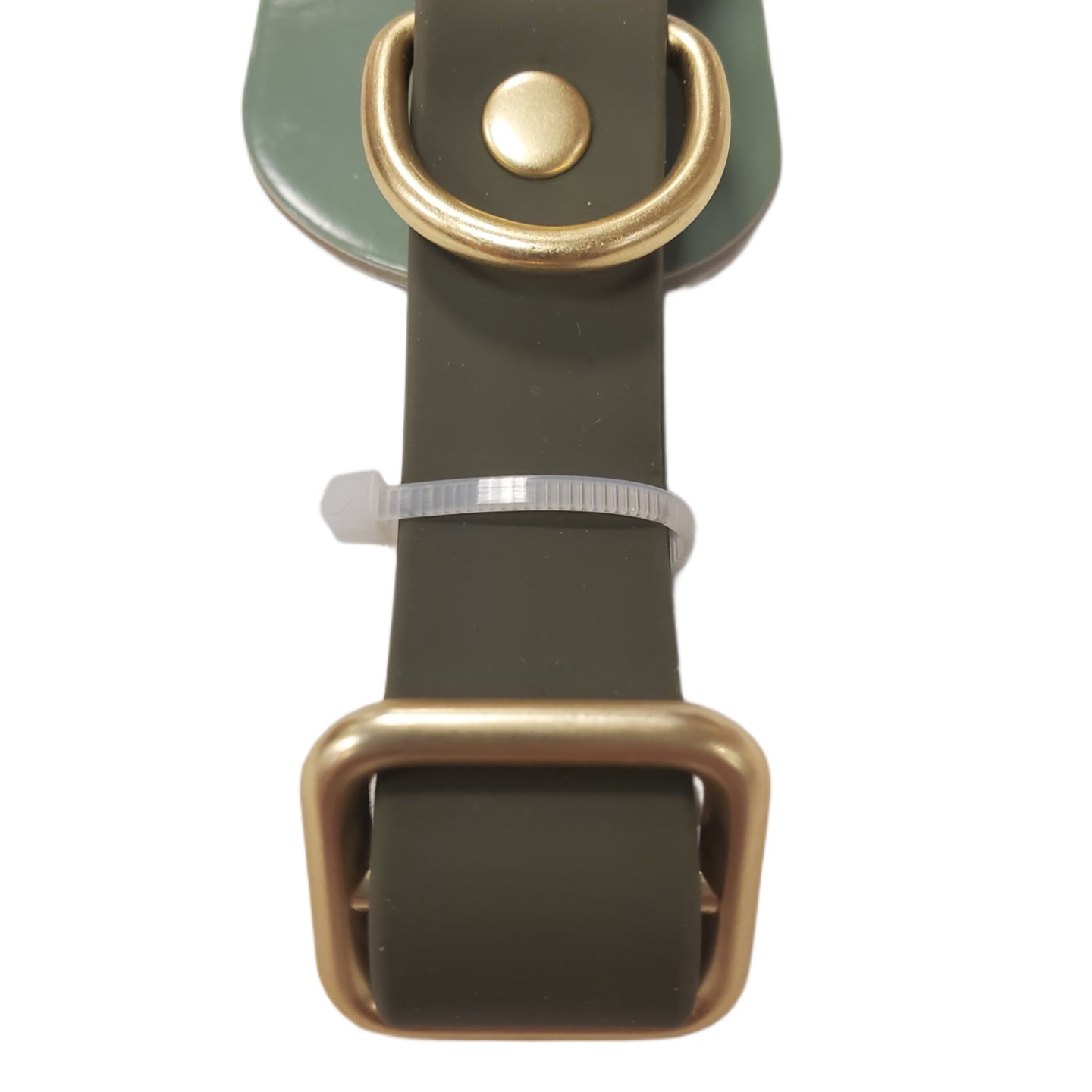 Dog Collar Small Sport Pet Living 10-14 inches