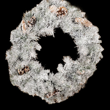 22" Ashland Flocked Pine Holiday Wreath