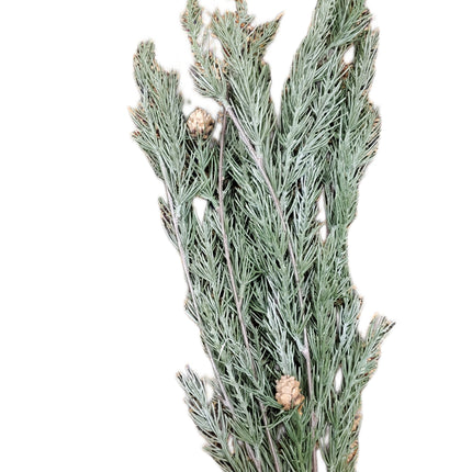 32" Ashland Pine Christmas Hanging Bush Decor