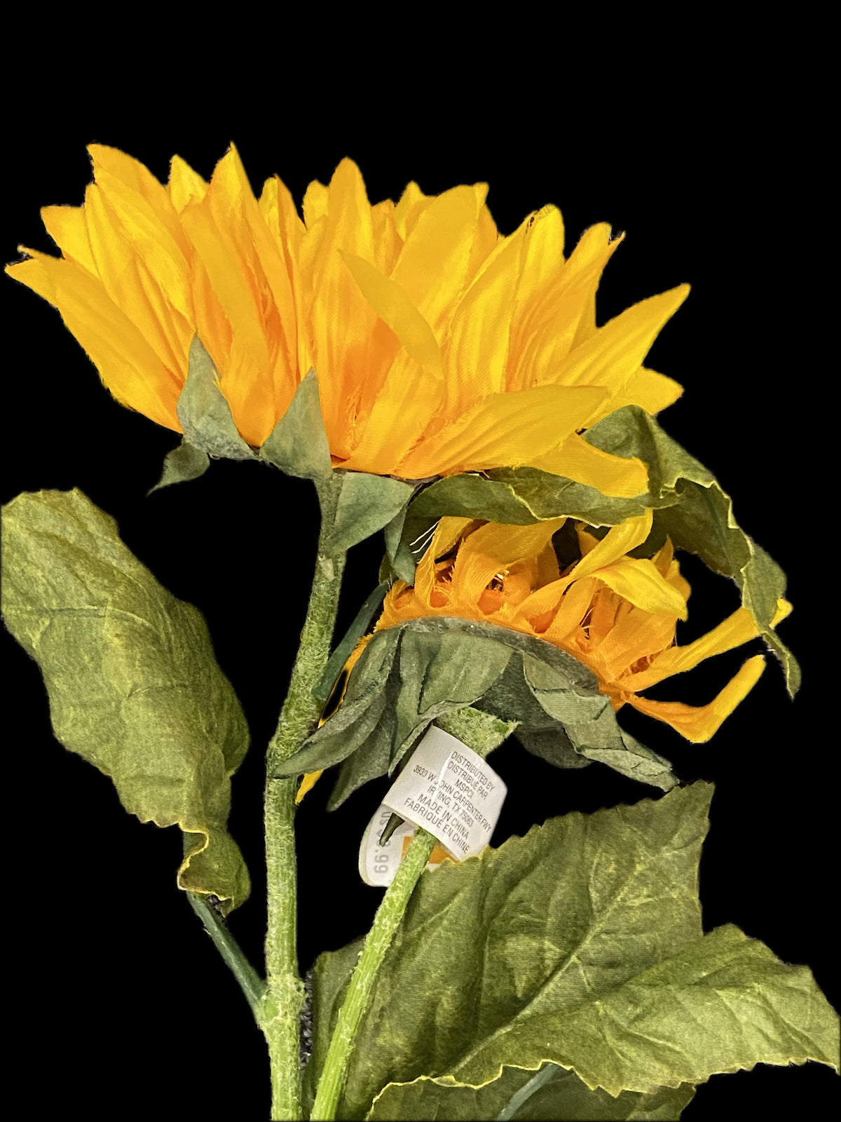 26" Ashland Dual Sunflower Stem - Golden Yellow