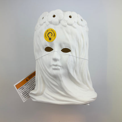 Light-Up Ghost Lady Halloween Decoration