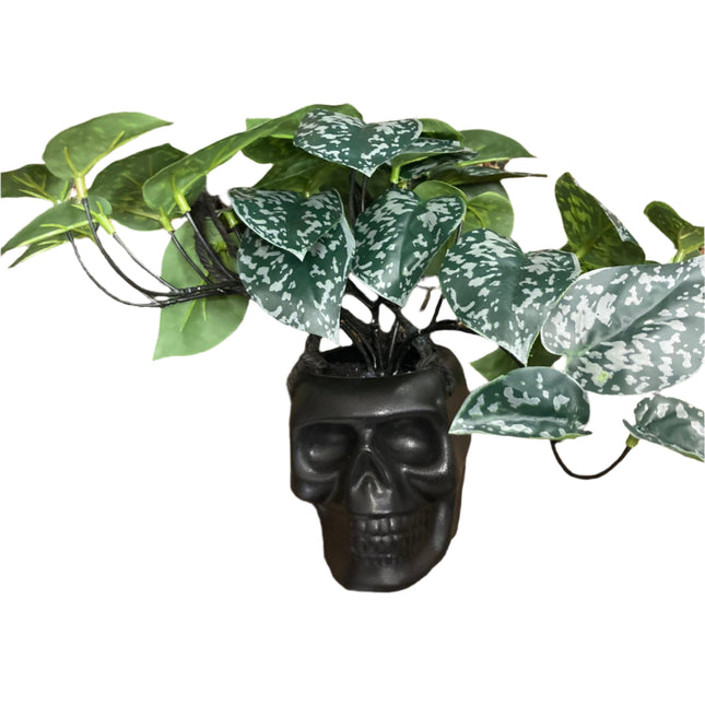 Ashland Halloween Hanging Black Skull Pot With Flowers 8x5in