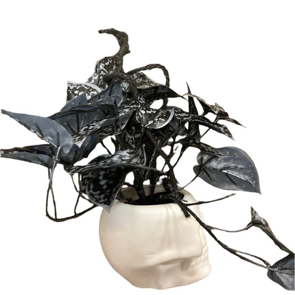 Ashland Halloween Hanging White Skull Pot With Flowers 8x5in
