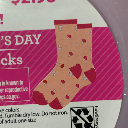 Valentine's Day Crew Socks in Cute reusable Plastic Container