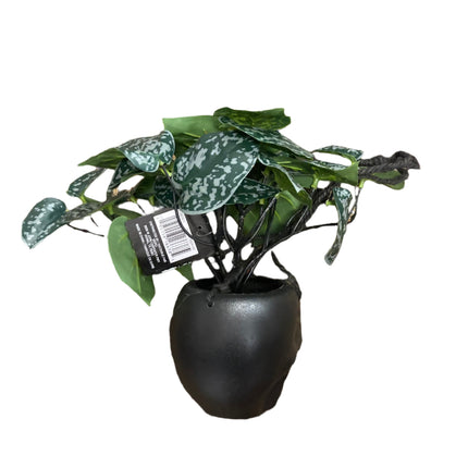 Ashland Halloween Hanging Black Skull Pot With Flowers 8x5in