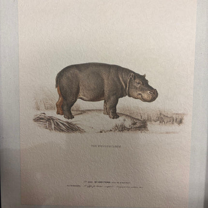 Summer Safari Wall Décor – 14" × 11"
