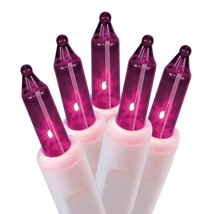 Holiday Time-Mini 100Ct Pu-Ww