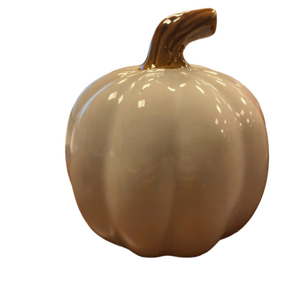 Ashland Fall White Porcelain Pumpkin with Letter Y 5x5in