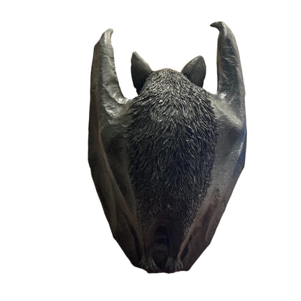 Ashland Halloween Skull and Bat Tabletop Decoration 9x6in
