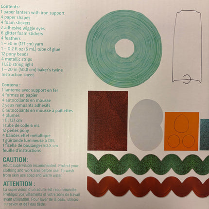 Summer Parrot Paper Lantern Craft Kit – Makes 1