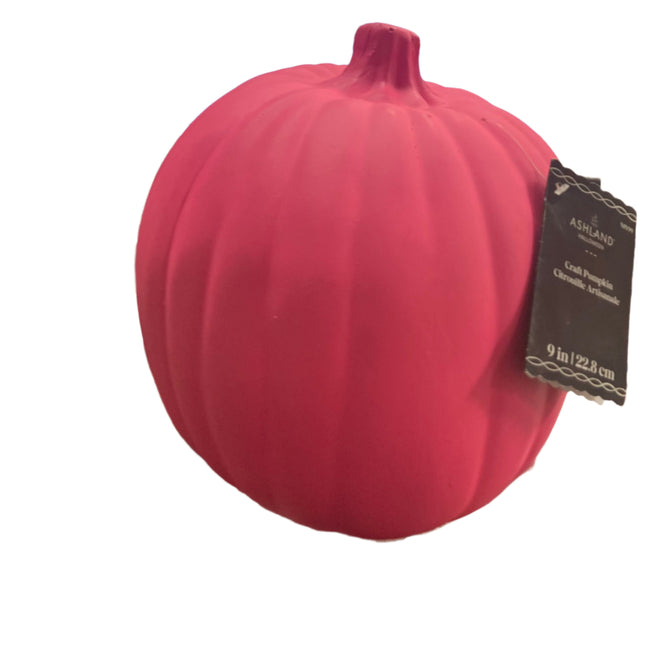 Ashland Fall Craft Pink Pumpkin 9in