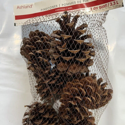 Pinecones Ashland Christmas Cinnamon Scented Smell 3 Dry Quarts Bag USA 149Y