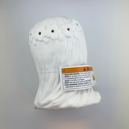 Light-Up Ghost Lady Halloween Decoration