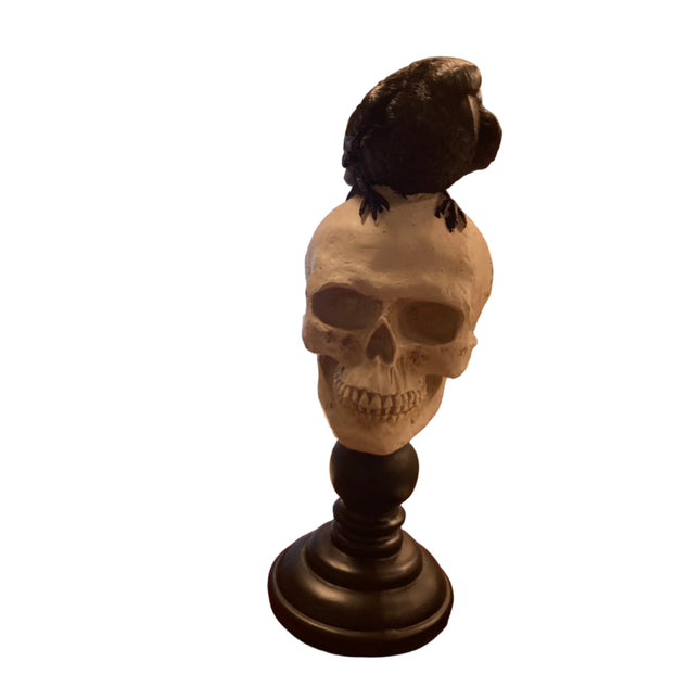 Ashland Halloween Crow on Skull Decoration 11x4in