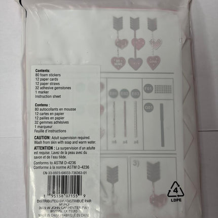 Creatology Valentine's Paper Craft Kit