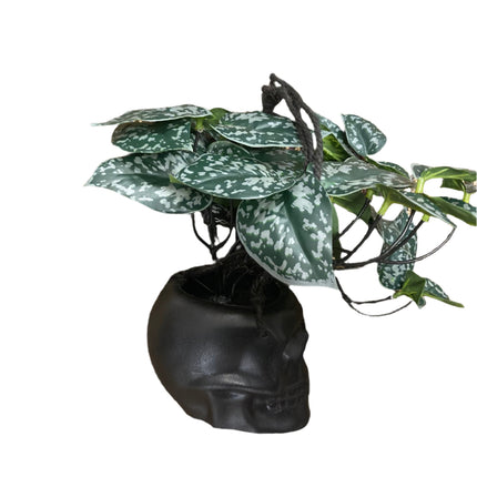 Ashland Halloween Hanging Black Skull Pot With Flowers 8x5in