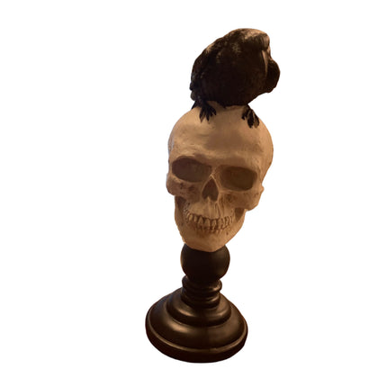 Ashland Halloween Crow on Skull Decoration 11x4in