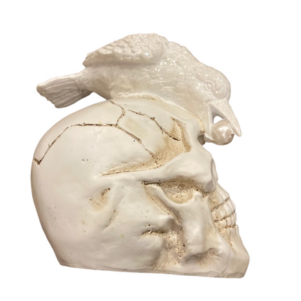 Ashland Halloween White Skull and Crow Decoration 8x6in
