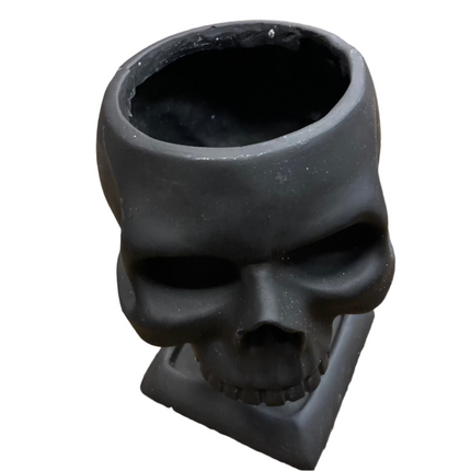Ashland Halloween Skull Container Decoration 7x4.5in