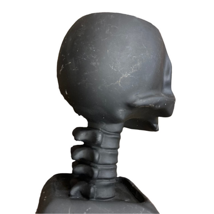 Ashland Halloween Skull Container Decoration 7x4.5in