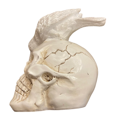 Ashland Halloween White Skull and Crow Decoration 8x6in