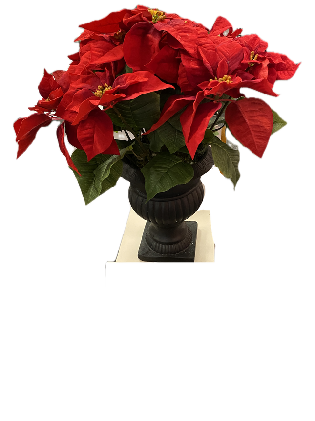 Ashland Silk Poinsettia in Black Vase, 24"x18"