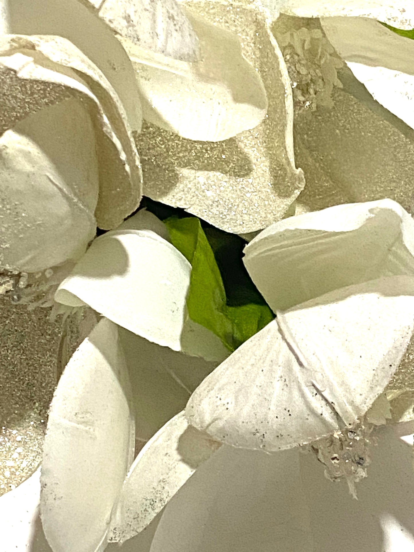 Glittery Cream Magnolia Bush by Ashland®