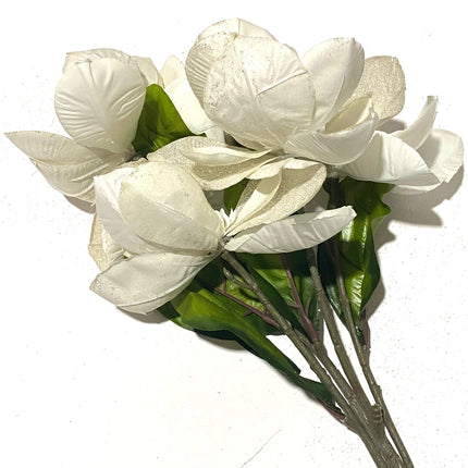 22" Glittery Cream Magnolia Bush - Ashland