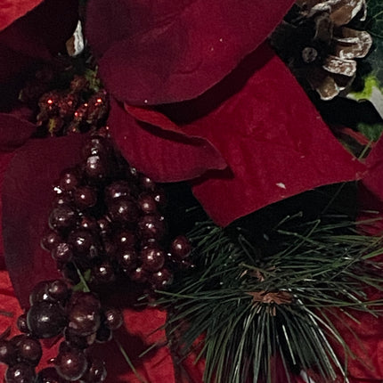 17" Red Poinsettia & Pine Christmas Bush - Ashland
