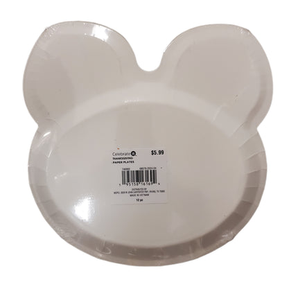 Celebrate It Thanksgiving Paper Plates Racoon 12-Pc