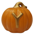 Y