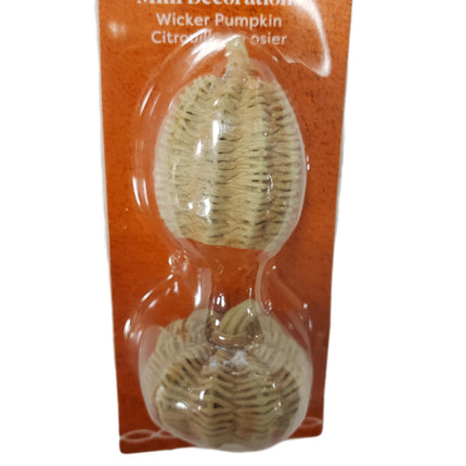 Ashland Mini Decoration Wicker Pumpkins 2-pc Fall