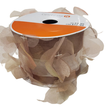 Ribbon Celebrate It 2.5 in X 6 Feet Chiffon See Through