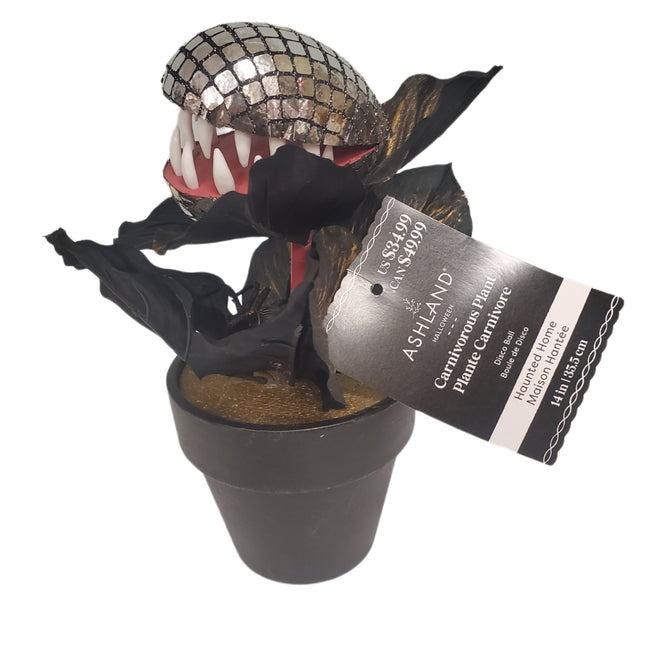 Carnivorous Plant Ashland 14 in Halloween