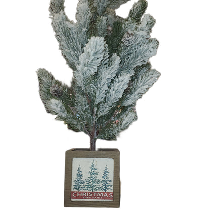 24" Flocked Ashland Accent Christmas Tree