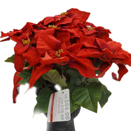 24" Ashland Premium Poinsettia Floral Arrangement