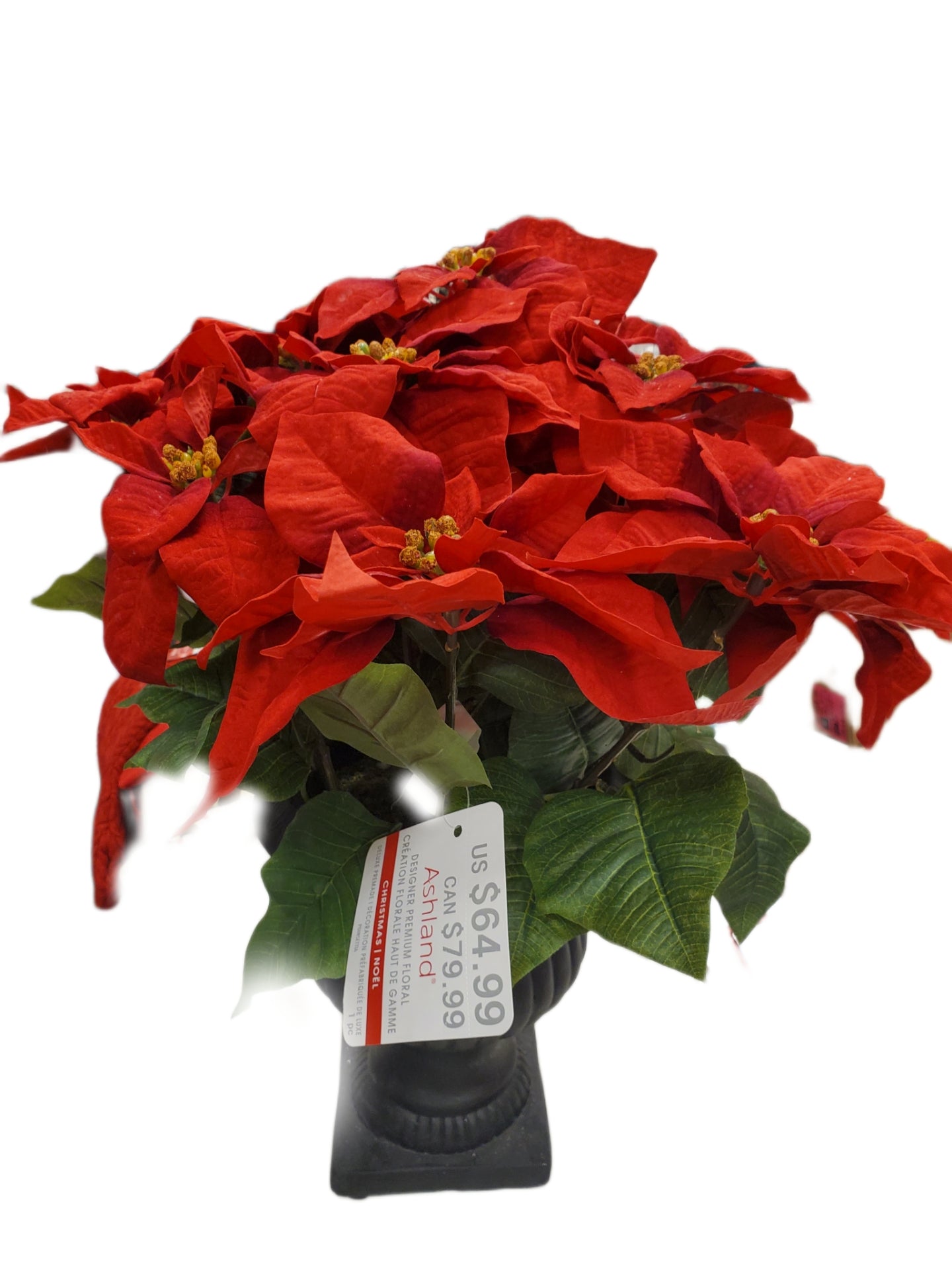 24" Ashland Premium Poinsettia Floral Arrangement