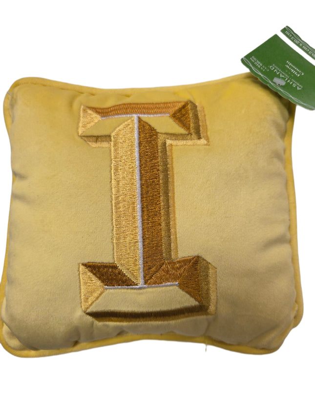 Ashland Spring Pillow Monogrammed Letter 8 X 8 In