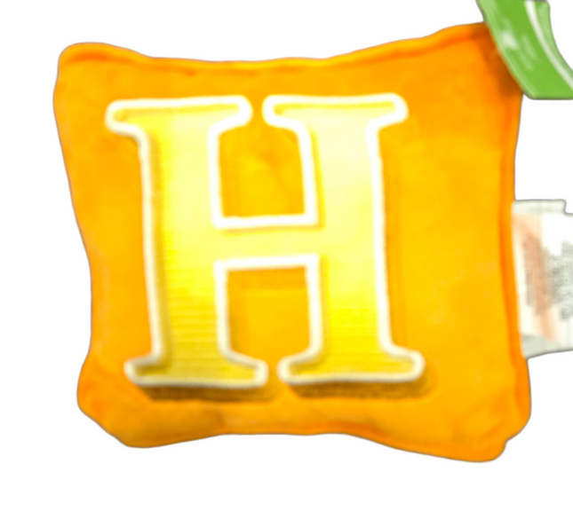 Monogrammed Ashland Spring H Pillow 8x8in