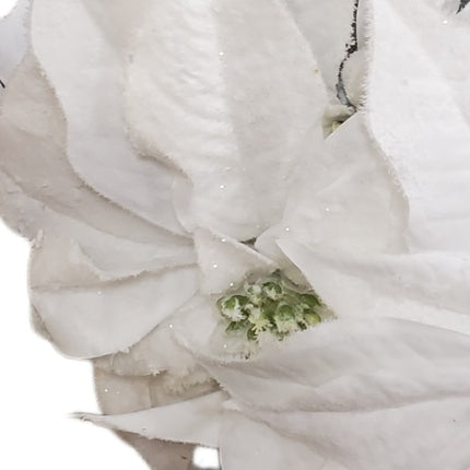 Snowy White Poinsettia 5 Stem Decoration