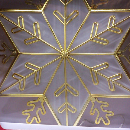 Ashland Gold & Translucent Snowflake 20 warm white lighted