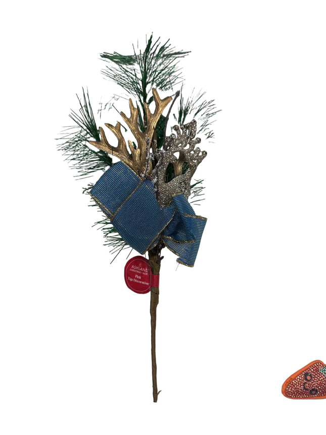 Ashland christmas pick with Raindeer