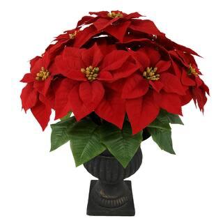 24" Ashland Premium Poinsettia Floral Arrangement