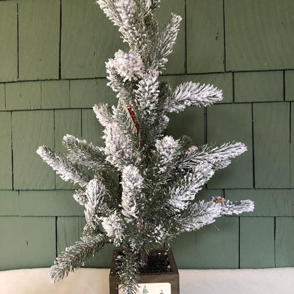 24" Flocked Ashland Accent Christmas Tree