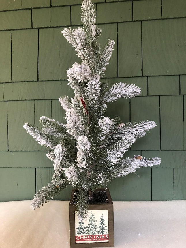 24" Flocked Ashland Accent Christmas Tree