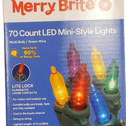 70 LED Christmas Lights for Indoor/Outdoor, 14 Feet