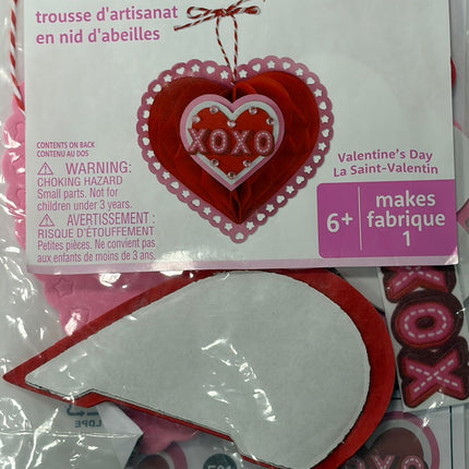 Creatology Valentine's Honeycomb Craft Kit
