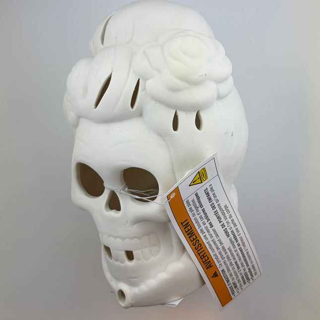 Light-Up Ghost Lady Halloween Decoration